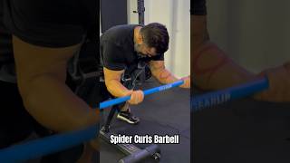 Barbell Spider Curls for bigger Biceps