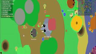 Mope.io,  Мопио,  Бета сервер