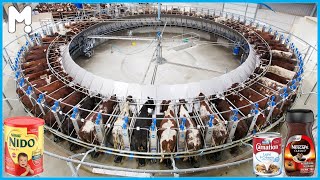 How Milk Is Made in Factory - Modern Dairy Farm Technology - How Milk Powder is Made - Food Factory