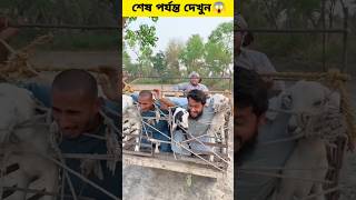 ছাগল চোর | #viral #viralshort