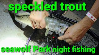 speckled trout fishing in seawolf Park galveston tx