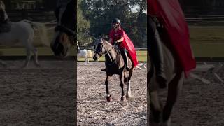 Smiling WAY too much #horse #equitation #dressage #dressagehorse #showjumping #equestrian #wec #eq