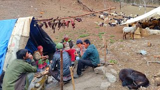 Sheep Shepherd Life | Organic Shepherd Food | Real Shepherd Lifestyle of Nepal | Gorey Nepal🇳🇵|