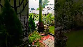 mera ganv #barish #villagevlog #villagelife #barish #colonelganj #mohammadpur #mutallibkhanvloger