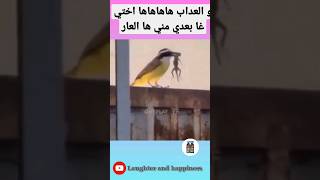 ها ختي غا بعدي مني ها العار 🤣😂 #reelsindia #reelsvideo #funny #morocco #algérie #tunisia #usa