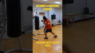 Beginner kickboxing combos