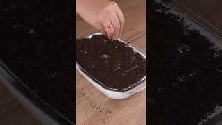 Um truque genial para comer Oreo que todos deveriam conhecer