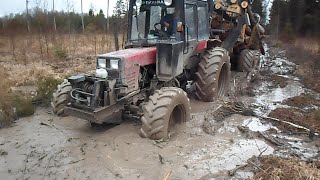 Belarus Mtz 892 forestry tractor with homemade trailer logging in wet conditions