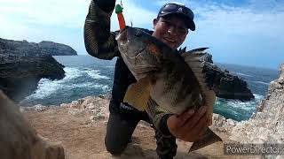 PESCA DÉ CABRILLAS GIGANTES 🎣CON VINILO Y PLOMADA DE 42 GRAMOS👍🎣