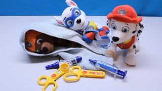 The PAW Patrol Visits the Doctor 2! | Plush Video