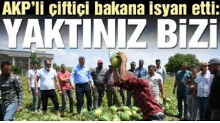 AKP'li çiftçi iktidara veryansın etti bitirdiniz bizi !!!