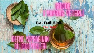 DEFNE YAPRAĞININ FAYDALARI / Defne Çayının Faydaları / Defne Yaprağının Zararları