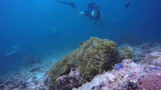 Scuba Diving - Maldives 2017 - Part 4