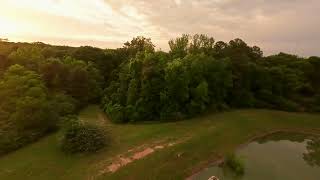 Sunset set Tree Topping