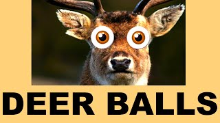 DEER BALLS