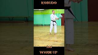 Kobudo SAI warm up #karate #кобудо #сай #karatetoday #martialarts #martialartstraining #kobujutsu