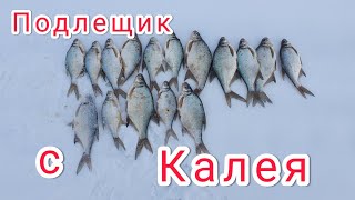 Подлещик с Калея.