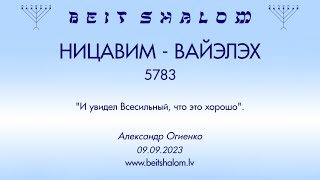 НИЦАВИМ - ВАЙЭЛЭХ 5783. "И увидел Всесильный, что это хорошо". (Александр Огиенко 09.09.2023)