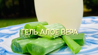 Приготовление Геля Алое Вера в Домашних условиях. / Homemade Aloe Vera Gel.