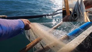 EP,142 trolling in net fishing