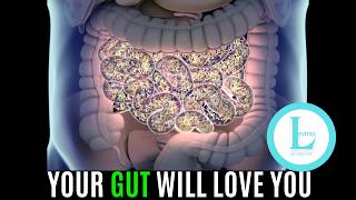 Best 6 Foods to Heal Your Gut & Your Microbiota