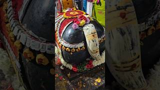 త్రయోదశి నంది అభిషేకం #pooja #omnamahshivaya #temple #shorts #trending #youtubeshorts #subscribe