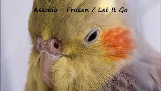 Assobio para calopsitas - Frozen / Let It Go