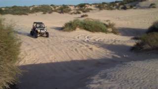 RZR S Long Jump, Nati flies into the bush