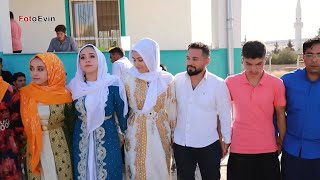 ŞEVKO HALAYI | ŞEDDADİ AŞİRET DÜĞÜNÜ ŞANLIURFA SUMAKLI