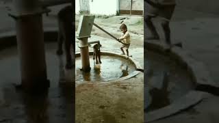 a kid feeding doggy