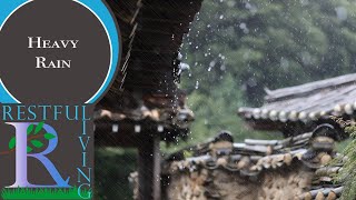 Heavy Rain Sounds for Sleeping | Thunderstorm in the Forest Ambience | Background Noise for Resting