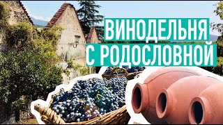 Клад с чеком на предъявителя и бои местного значения в семейной винодельне  #виноделие #кахетия