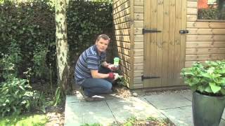 Getting Rid of Weeds in your Gravel, Patio & Shed | Videos | Roundup Weedkiller