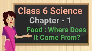 Class 6 Science Chapter 1 'Food : Where Does It Come From' full chapter cbse ncert