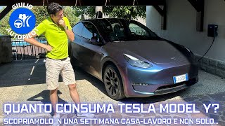 Ma quanti KM fai con la tua TESLA Model Y? Consumi AUTO ELETTRICA x Casa-Lavoro e non solo.