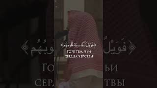 Чтец: Мухаммад аль ЛюхайданСура: Аз-Зумар (Толпы).#allahuakbar #muhammad #stories #story #youtube