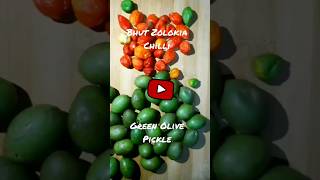 Chilli Pickle #shorts #viral #trending