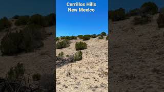 Cerrillos Hills, New Mexico.  Turquoise Trail.