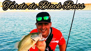 Tarde Divertida ( Black Bass )