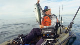 PESCA EN KAYAK- Anzuelo en la pierna, pesca de bonitas en Ensenada desde kayak!