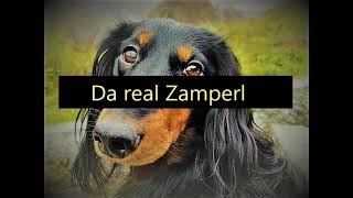 Da real Zamperl - Folge 1 - Auf den Hund gekommen