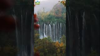 Plitvice Lakes National Park | Croatia #youtubeshorts #waterfall #beautifulview #short #nationalpark