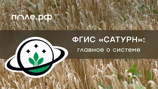 ФГИС «Сатурн»: что нужно знать аграриям о работе в системе