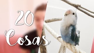 20 cosas sobre Shibi | Agapornis roseicollis