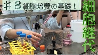 【おうちで学ぶ東京バイオ】♯8細胞の継代( 細胞培養の基礎)