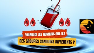 Pourquoi les humains ont-ils des groupes sanguins différents ? 💉🩸