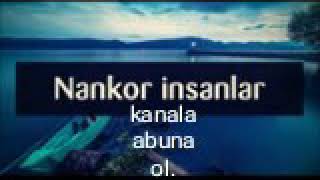 Nankor insanlar || Veysəl