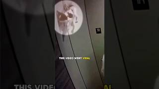 Dog found stuck in an elevator 🤯