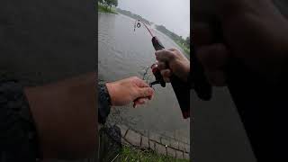 MINI UNBREAKABLE Fishing Rod CATCHES MASSIVE Fish🤯(SPILLWAY MONSTER)