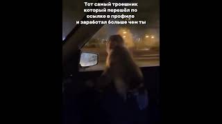 Жиза Ссылка в профиле #shorts #short #мемы